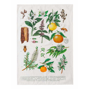 Koala Eco - Tea Towel Botanical Print