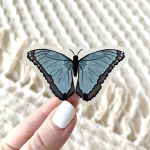 Elyse Breanne Design - Clear Common Blue Morpho Butterfly Sticker, 2.5x1.5in